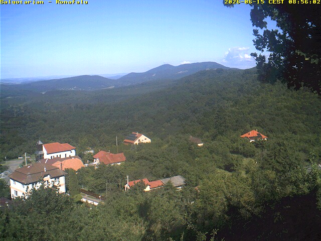 Camera Live Image